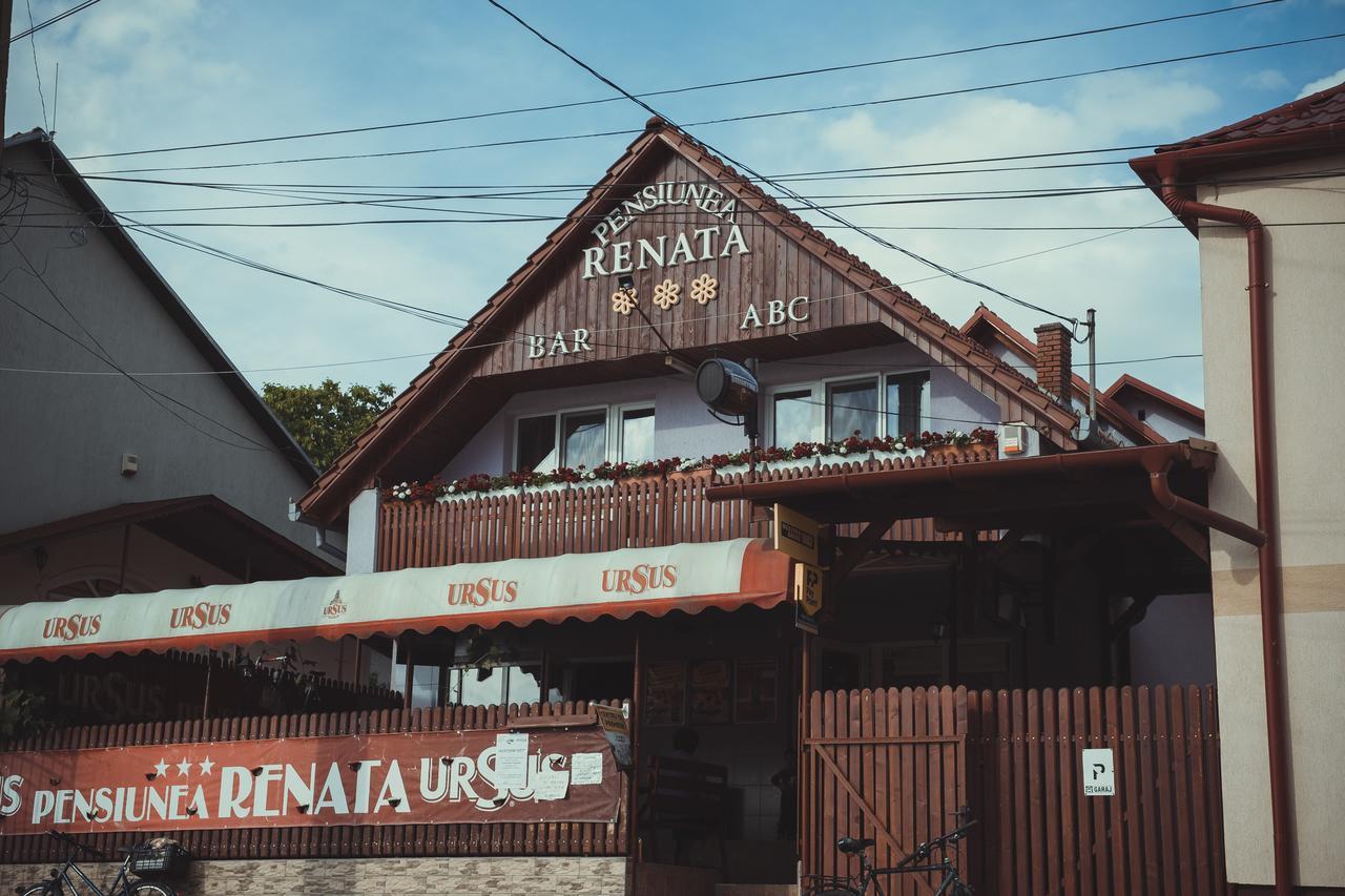 Pensiunea Renata Boghiş Extérieur photo