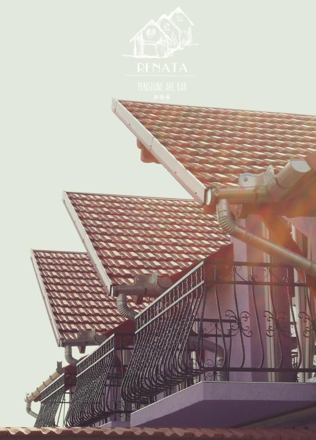 Pensiunea Renata Boghiş Extérieur photo